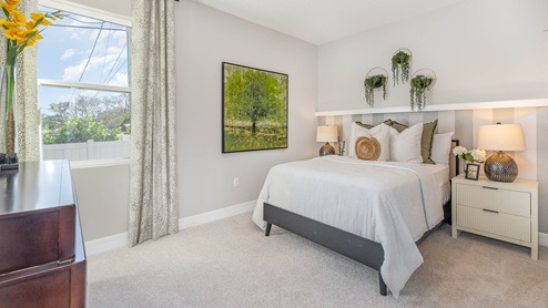 A bedroom decorated with plants and striped feature wall behind bed. Large window with gray and white curtains.
