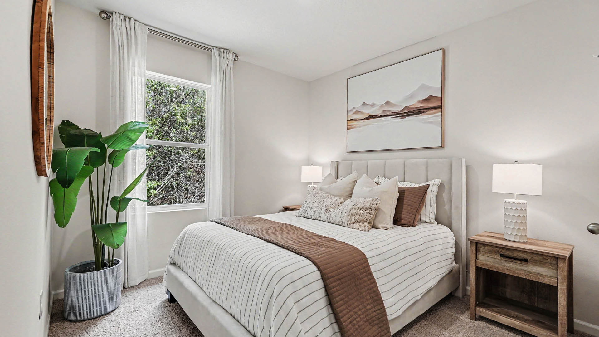 A cozy room with beige carpet, white walls, and a window, allowing natural light to illuminate the space.