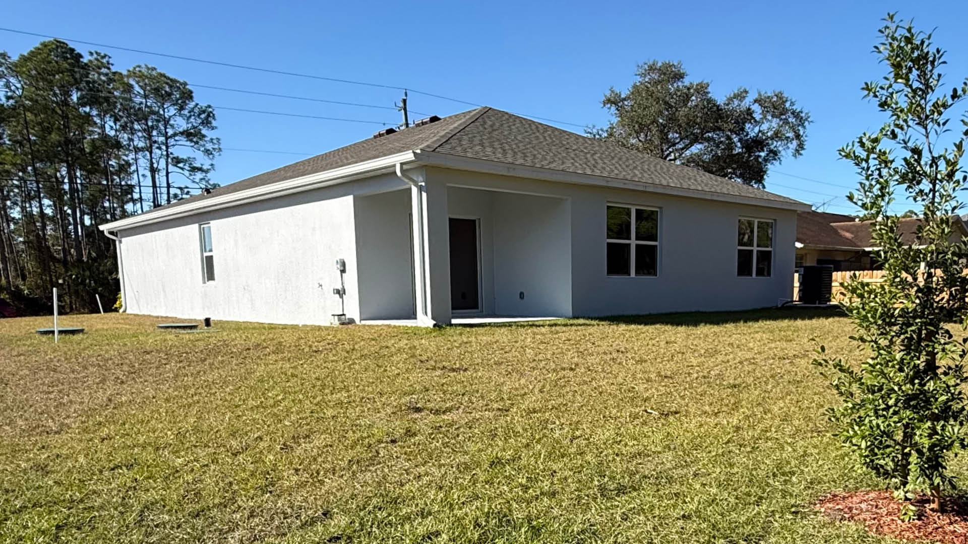 A house with a back yard featuring a tree and well-maintained grass.