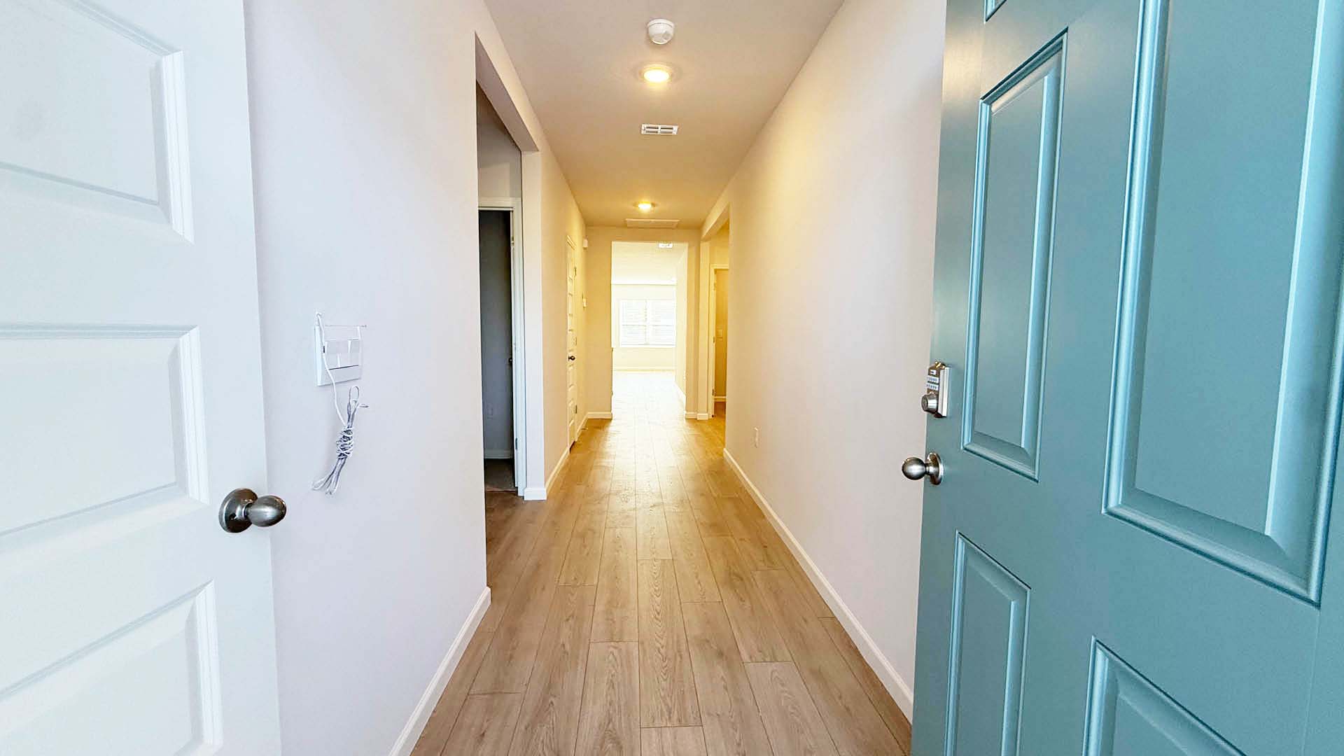 Light blue door open to hallway with LVP flooring
