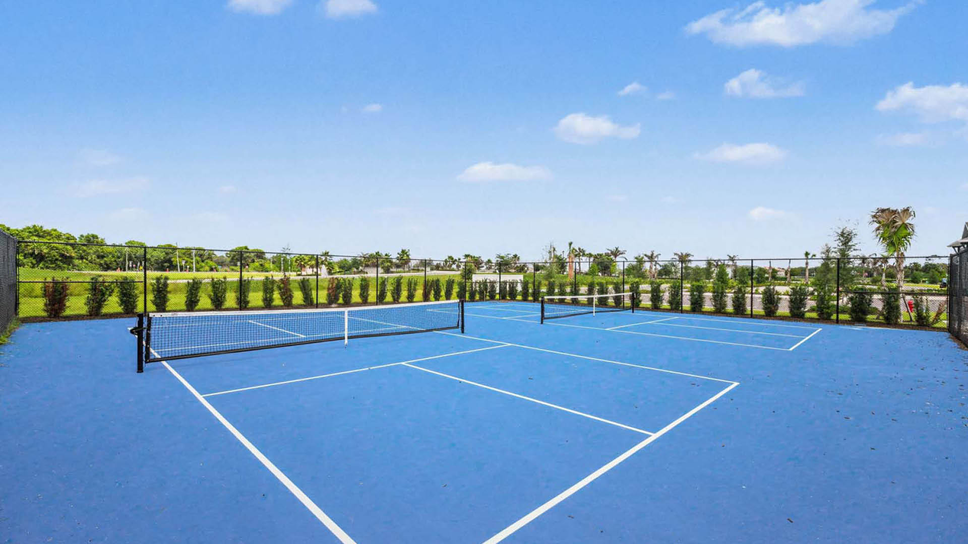 A pickleball court surrounded by lush greenery.