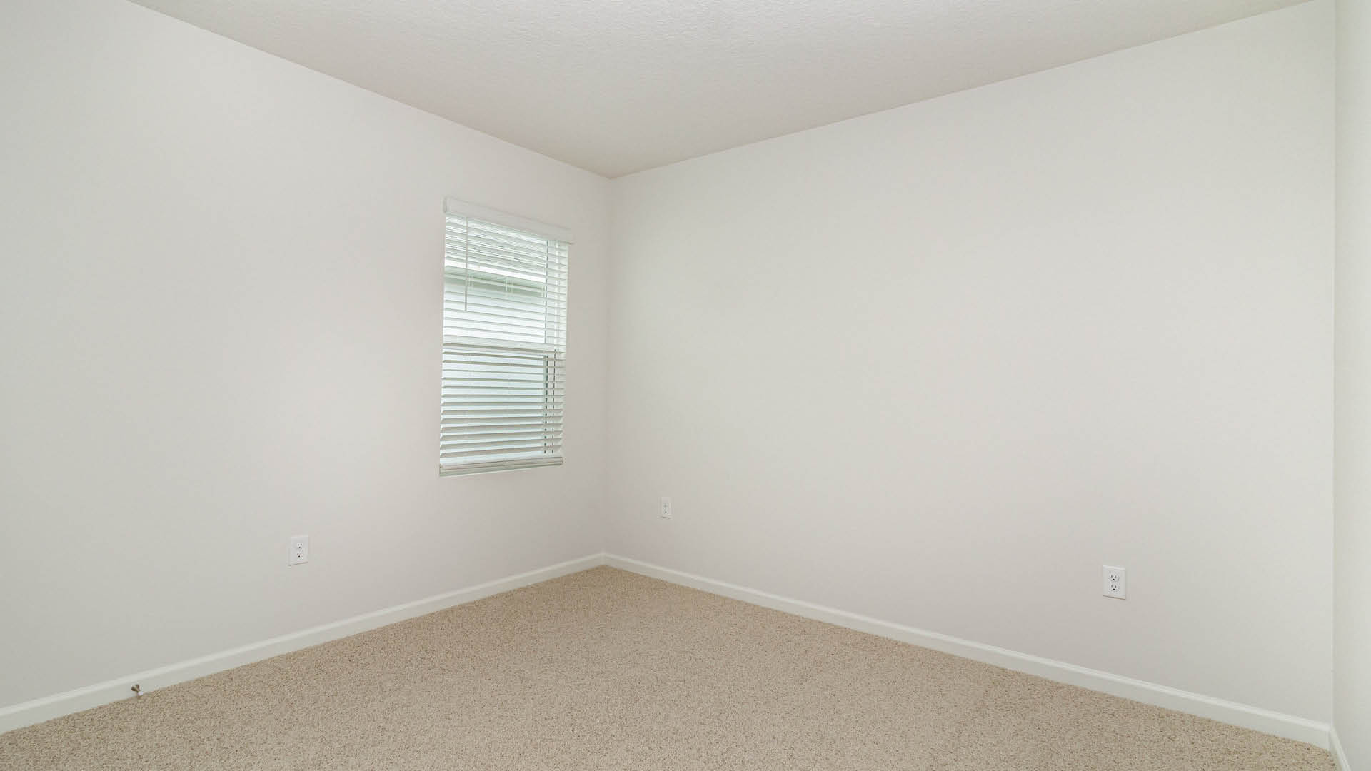 Empty room with beige carpet, white walls, and a window with blinds, allowing natural light to illuminate the space.