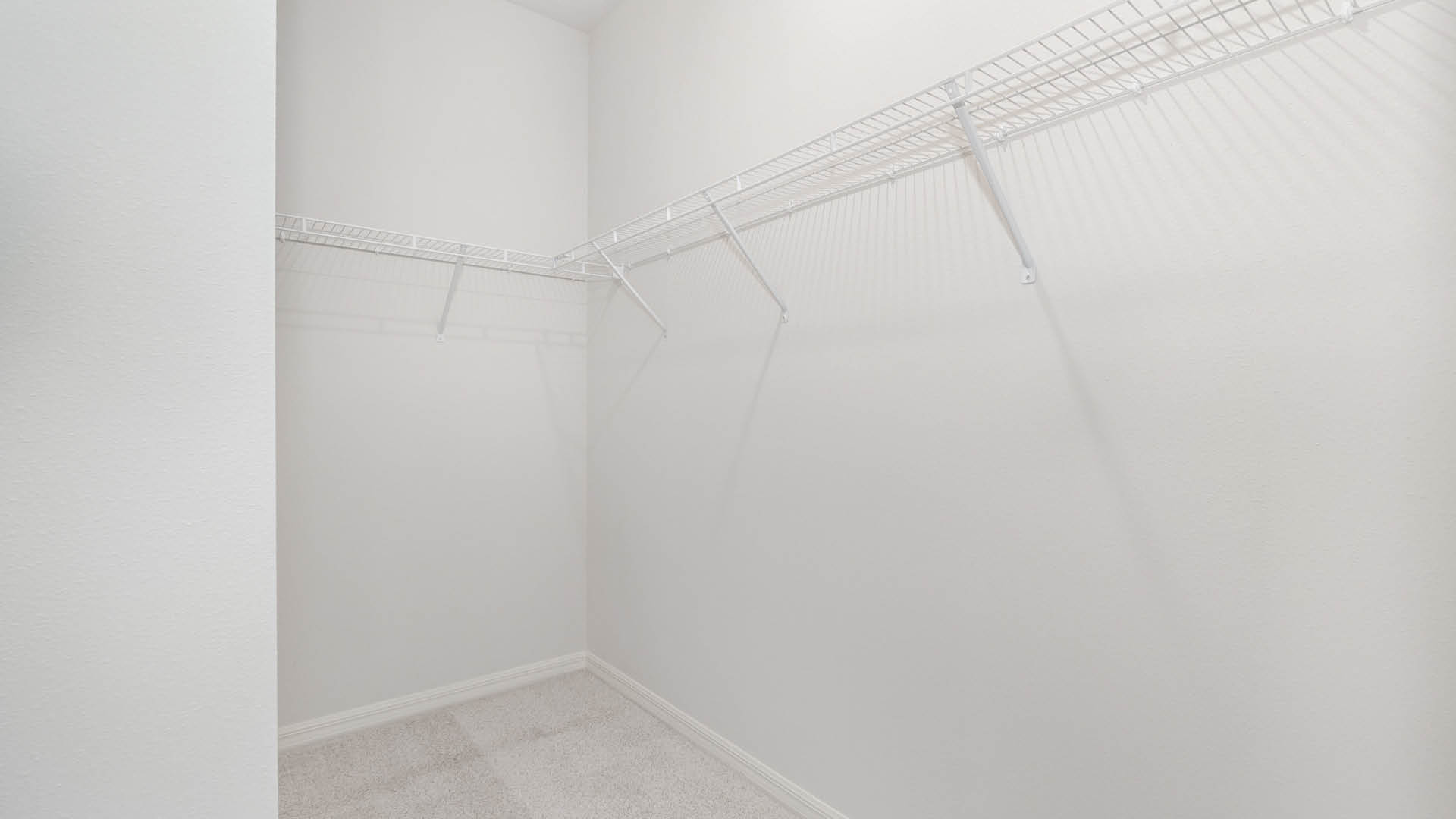 A spacious, walk-in closet with beige carpet, featuring white wire shelves against a light-colored wall.