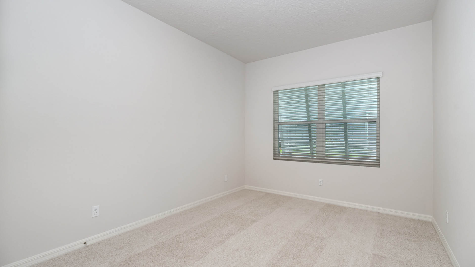 An empty room with beige carpet, white walls, and a window with blinds, allowing natural light to illuminate the space.