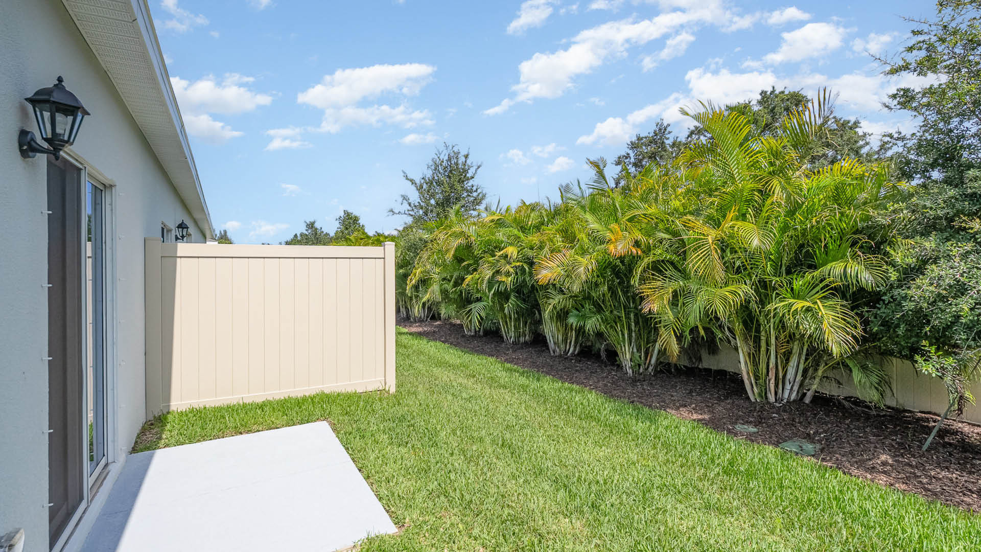 Lush green lawn beside a beige fence, bordered by tall palm trees under a bright blue sky, adjacent to a home's exterior.