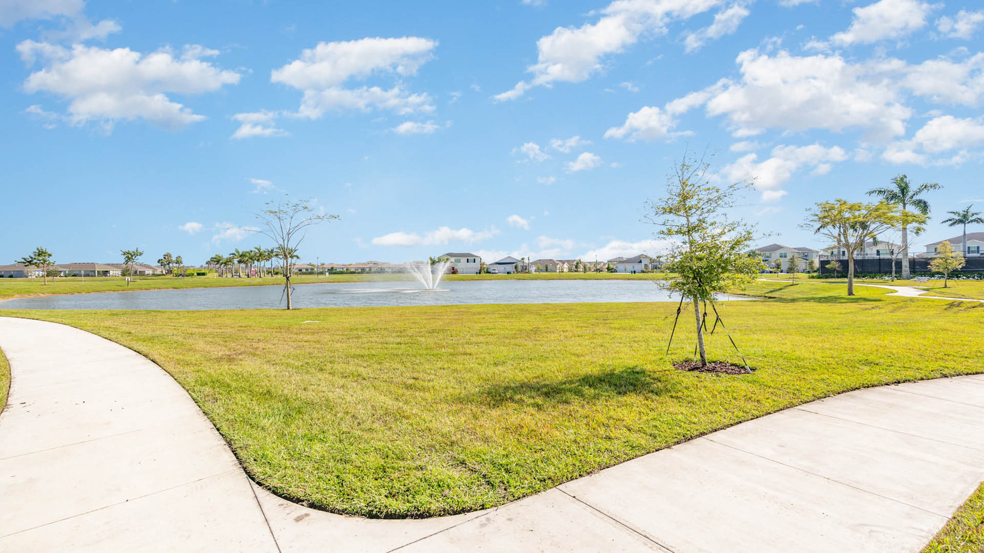 View of community lake and walking trail