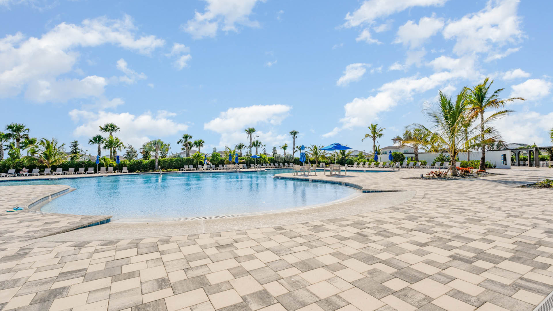 Spacious outdoor pool area under a clear blue sky, surrounded by palm trees and lounge chairs. The atmosphere is relaxing and inviting.