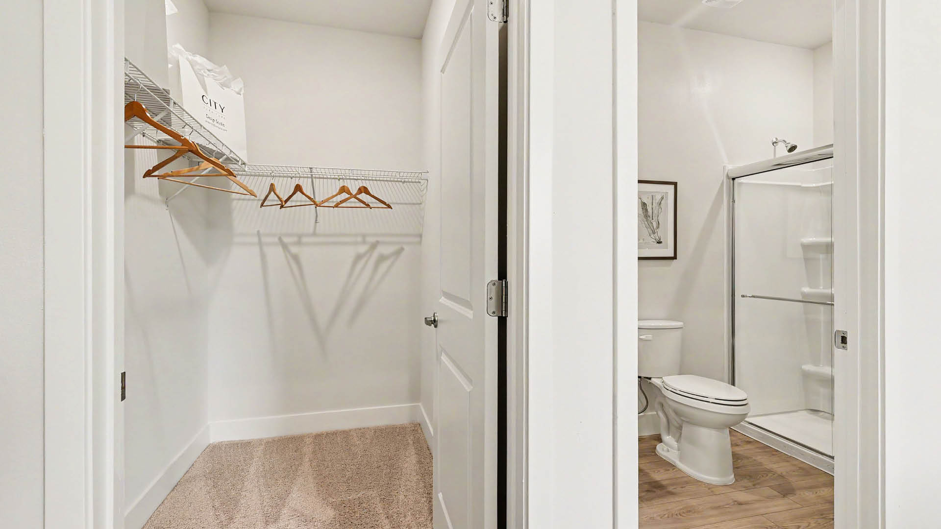 A small walk-in closet with carpeted floor and wooden hangers is adjacent to a bathroom featuring a toilet and a glass-enclosed shower.