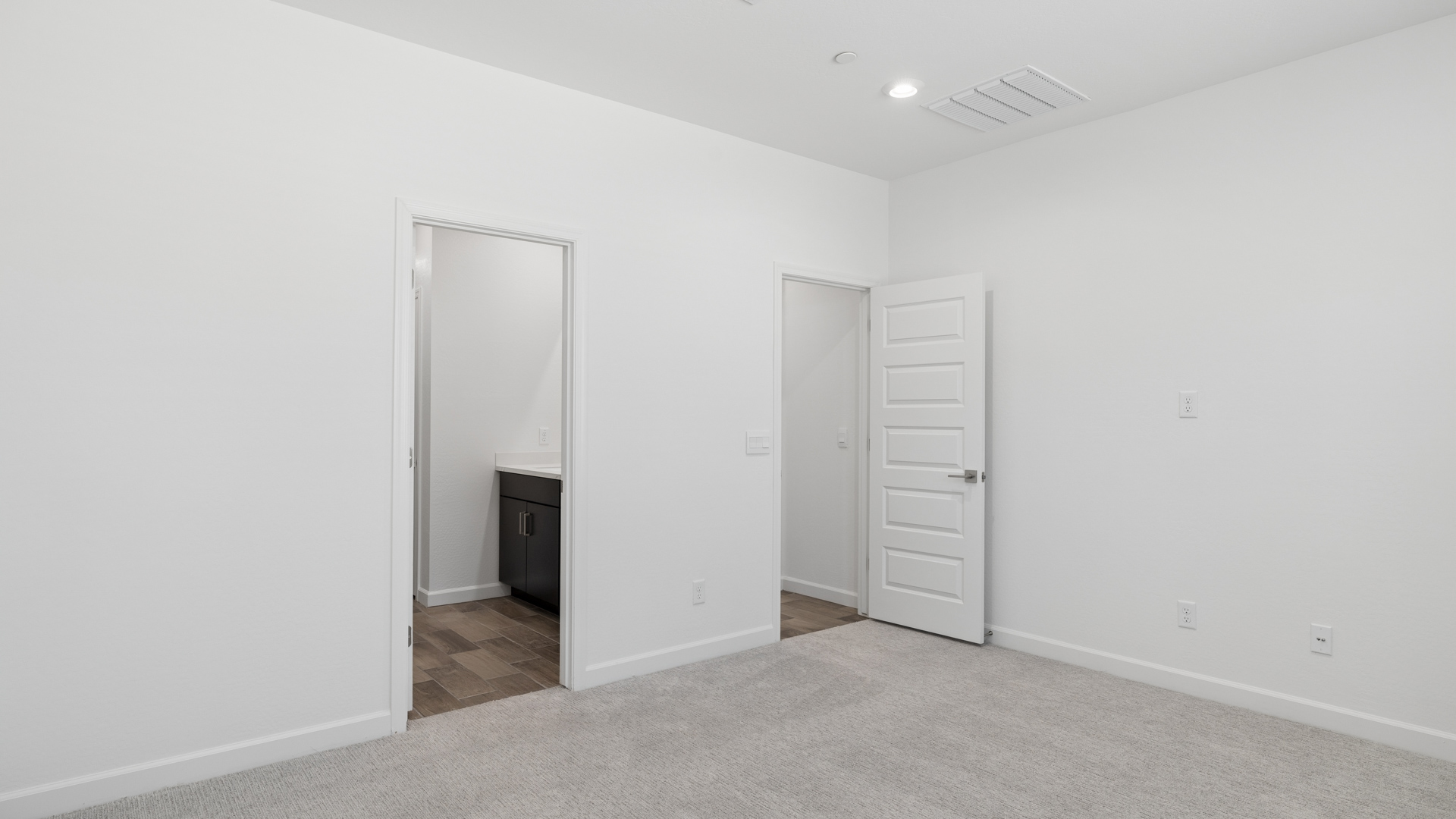 Primary bedroom with plush carpeting and a large walk-in closet.