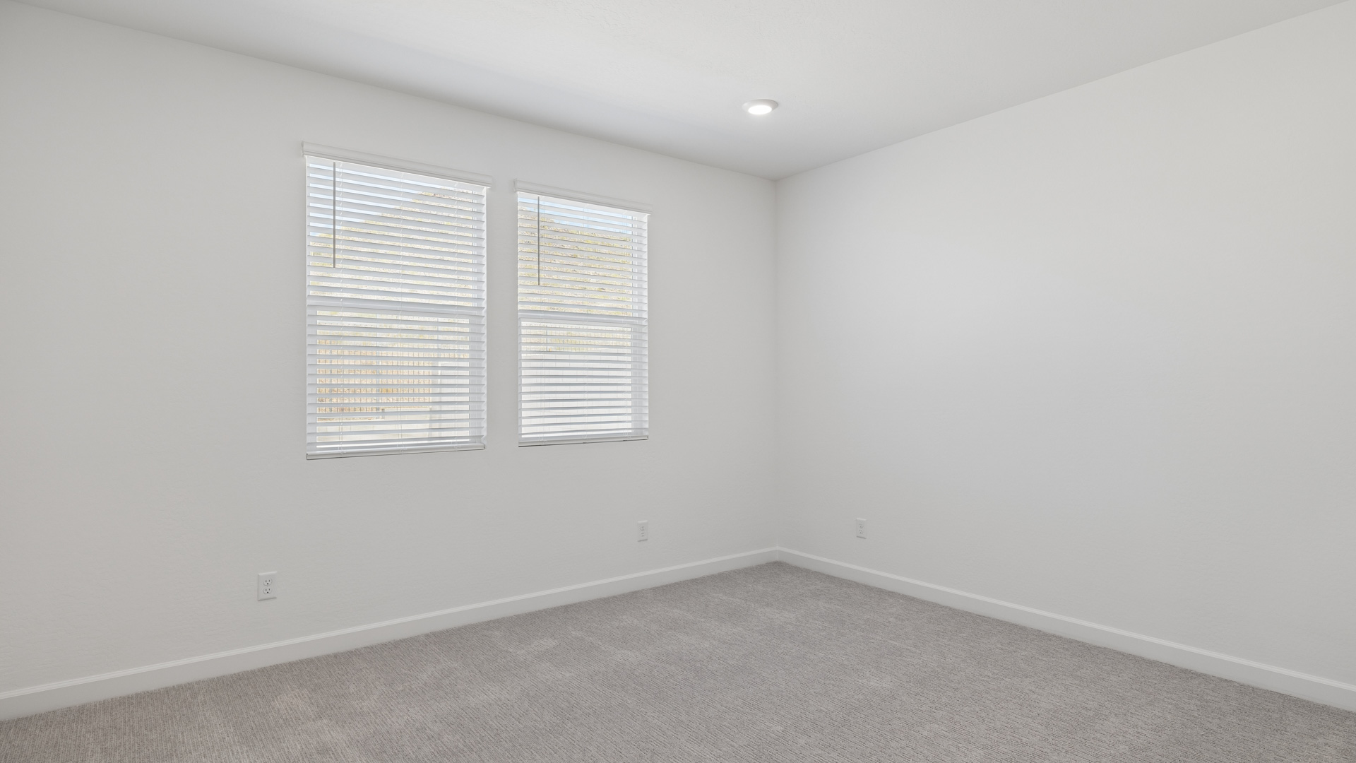 Primary bedroom with plush carpeting and a large walk-in closet.