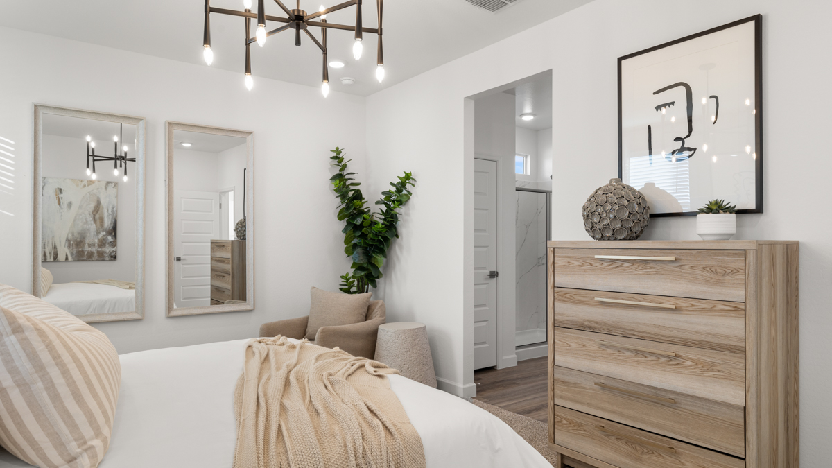 primary suite with walk in closet
