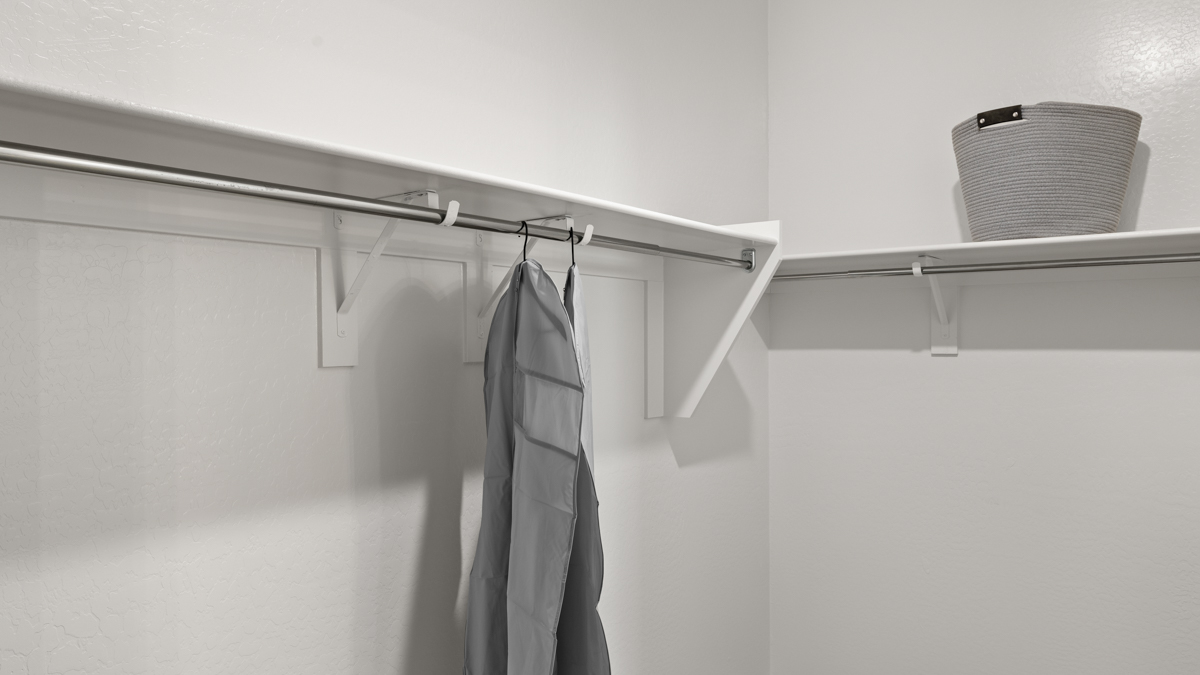 primary suite with walk in closet