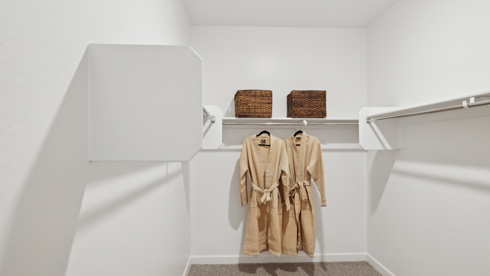Primary bedroom with walk-in closet.