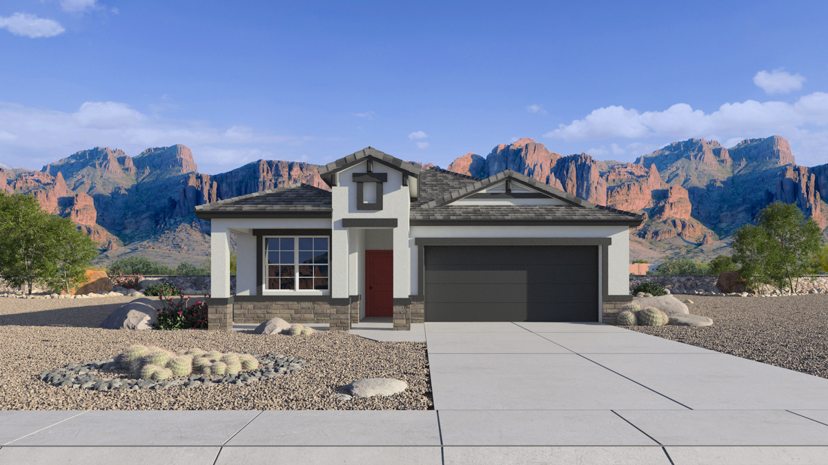 Newly built single-story home with modern architecture, a double garage, and landscaped front yard.