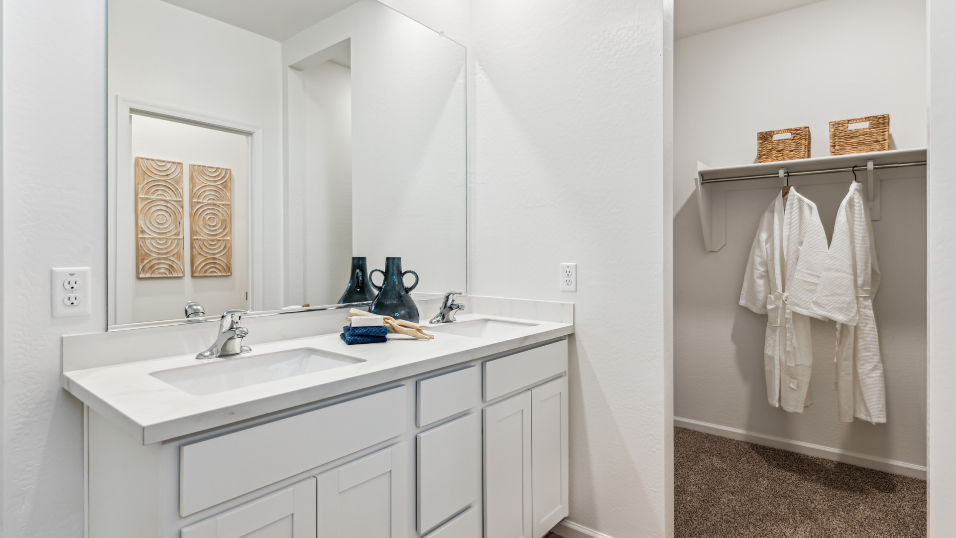 Primary suite with a walk-in closet.