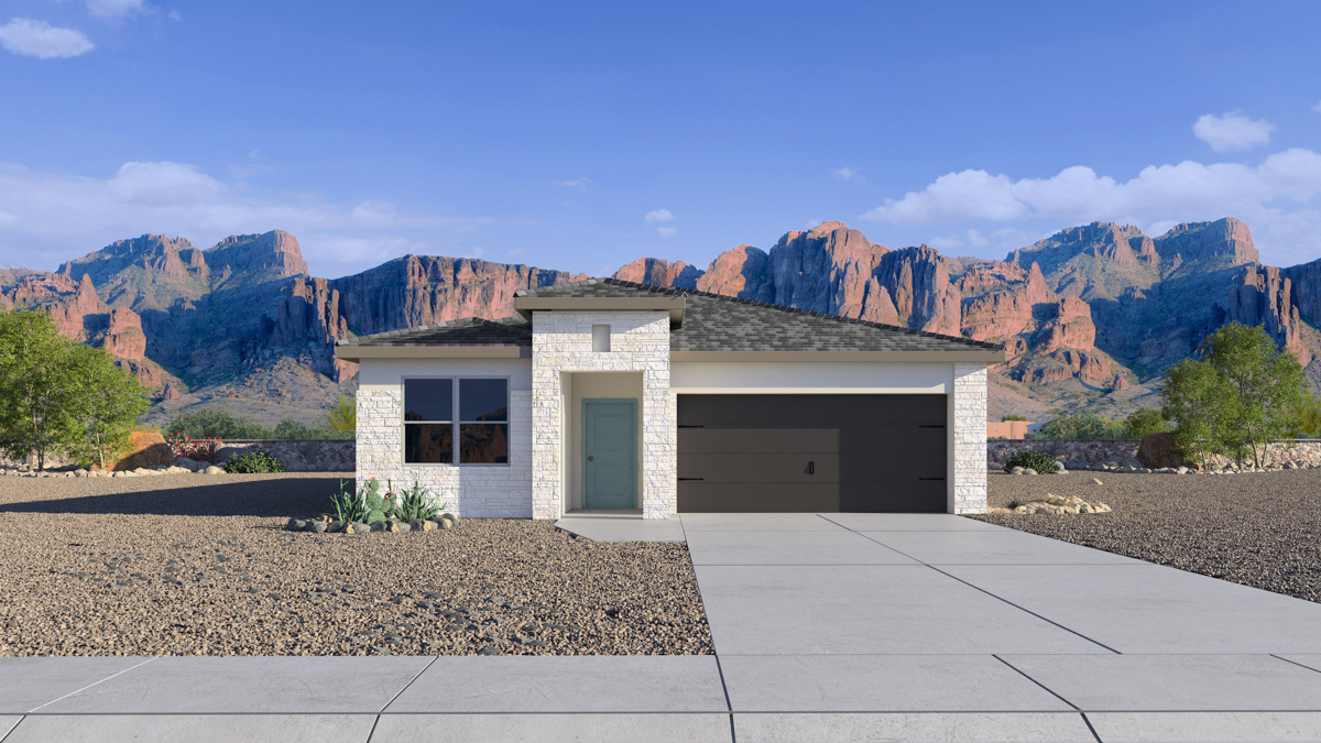 Newly built single-story home with modern architecture, a double garage, and landscaped front yard.
