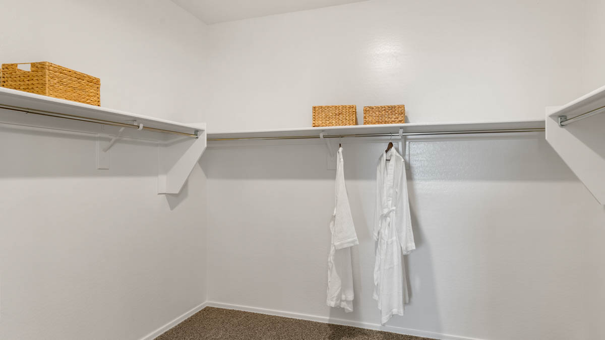 Primary bedroom with a walk-in closet.