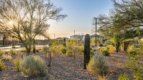 Talinn at Desert Ridge Phoenix D.R. Horton