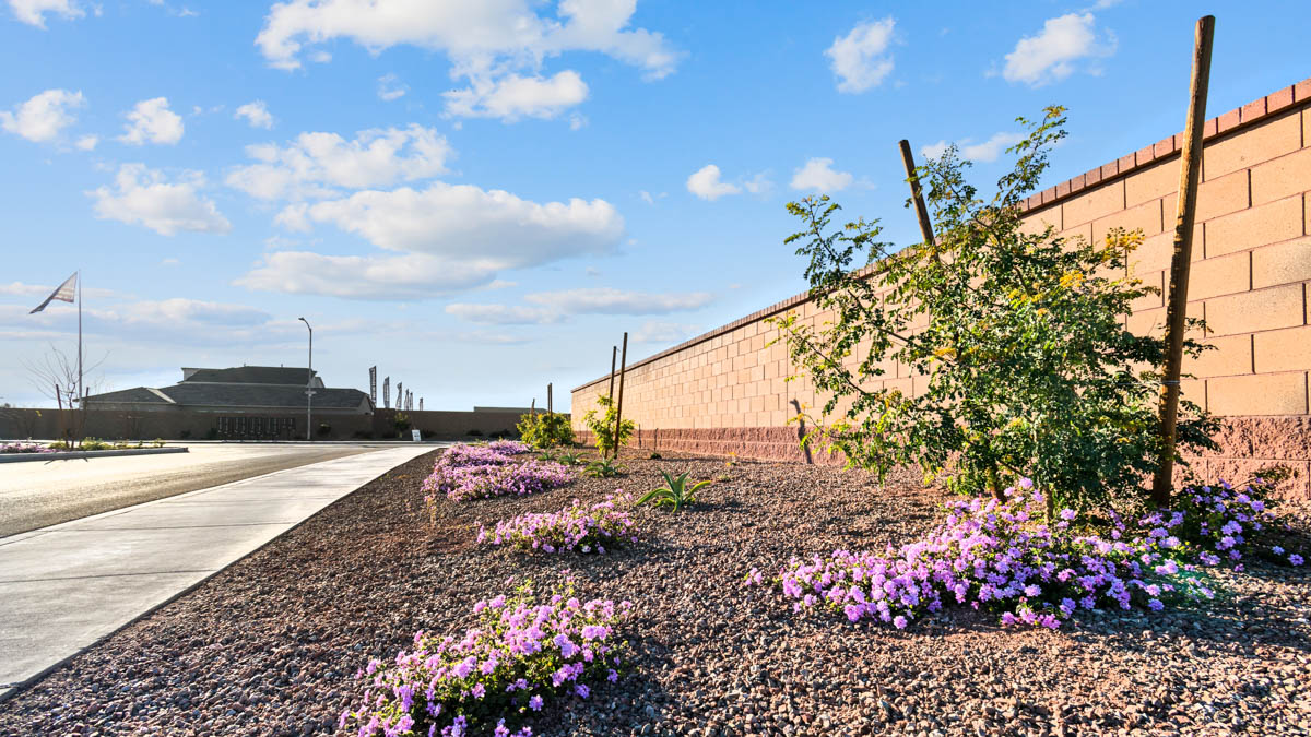 New Homes in Camino Lago Peoria, AZ D.R. Horton