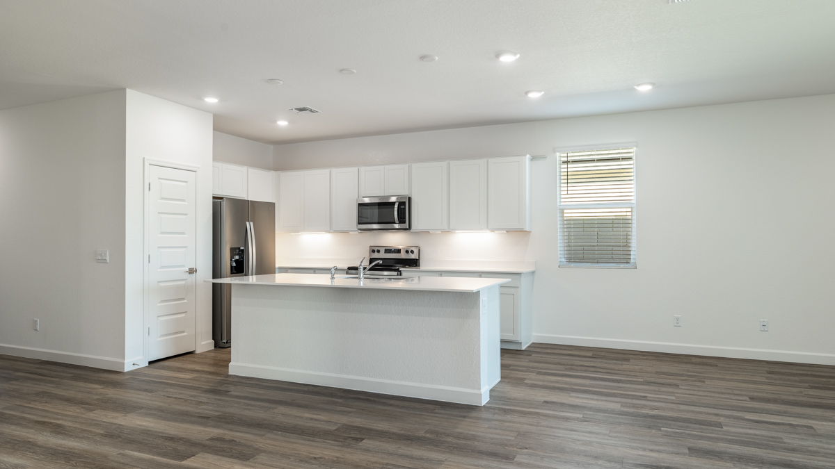 Living room and kitchen