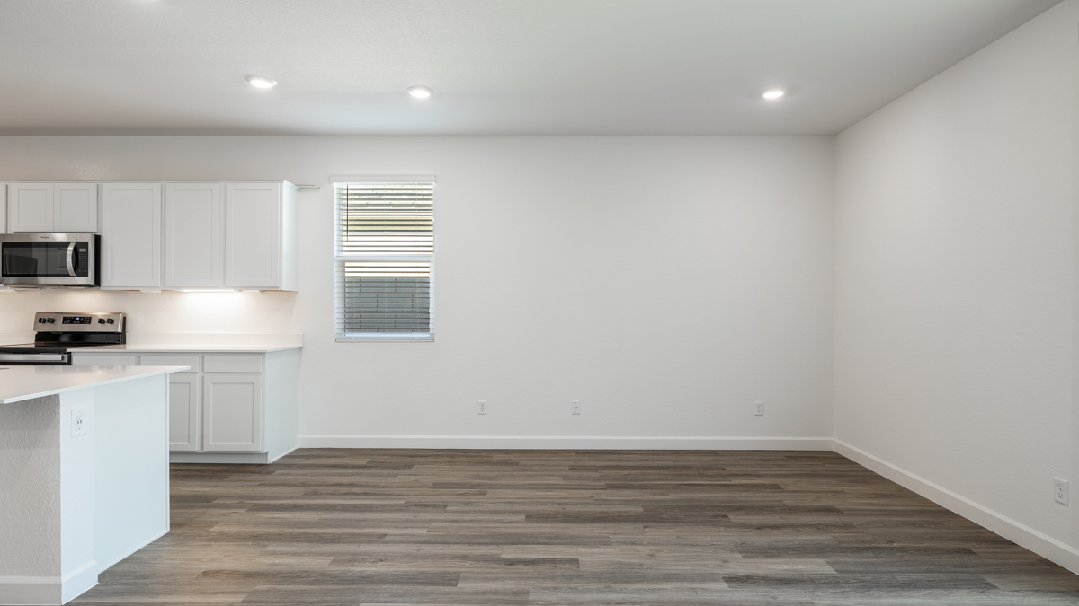 Living room and kitchen