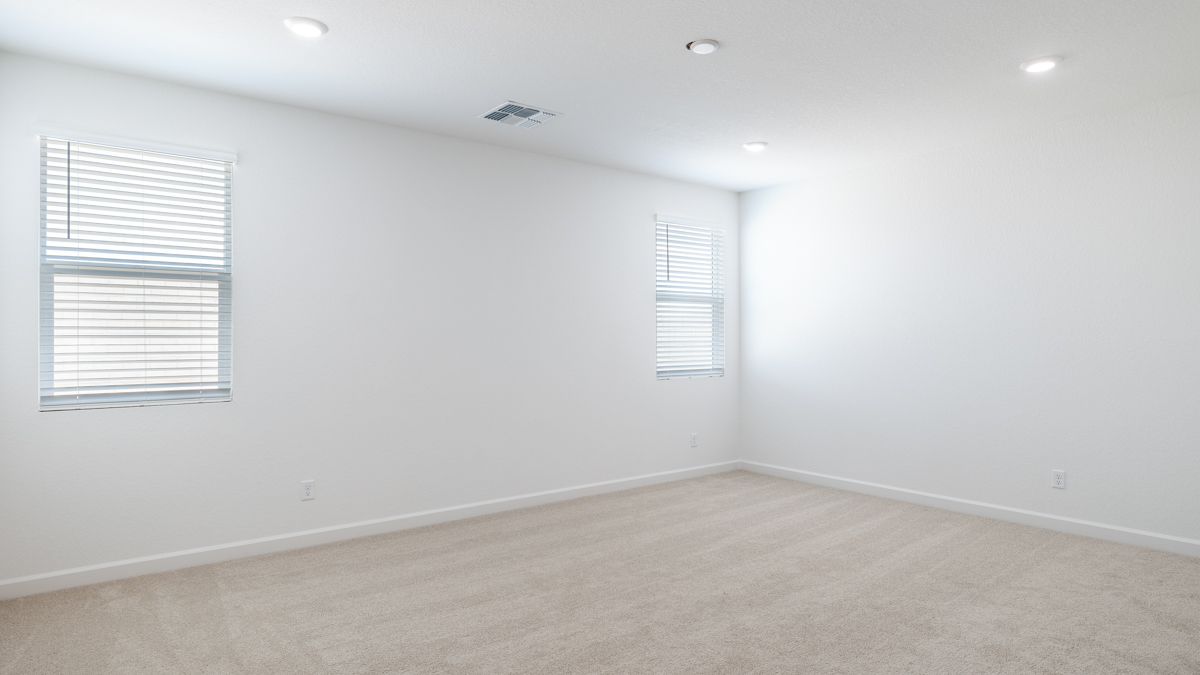 primary suite with walk in closet