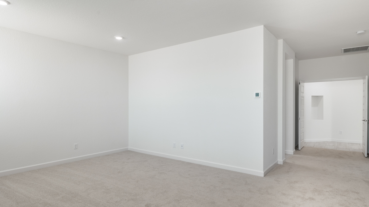 primary suite with walk in closet