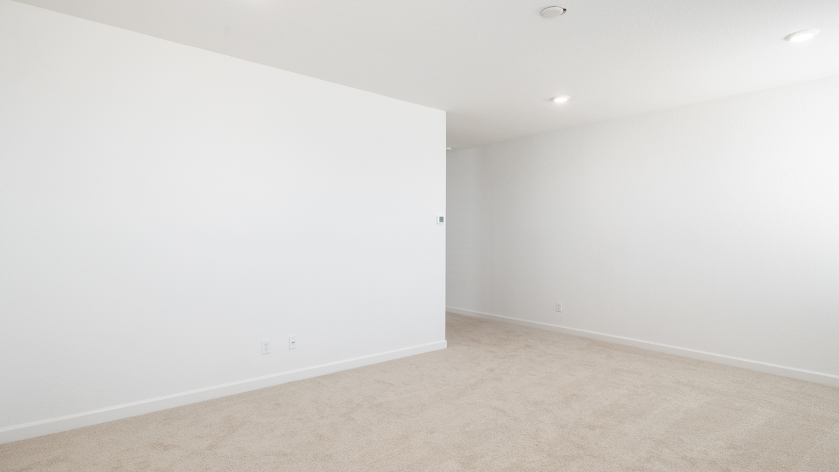primary suite with walk in closet