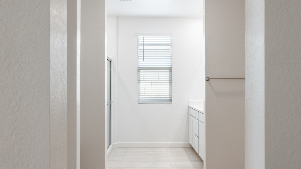 primary suite with walk in closet