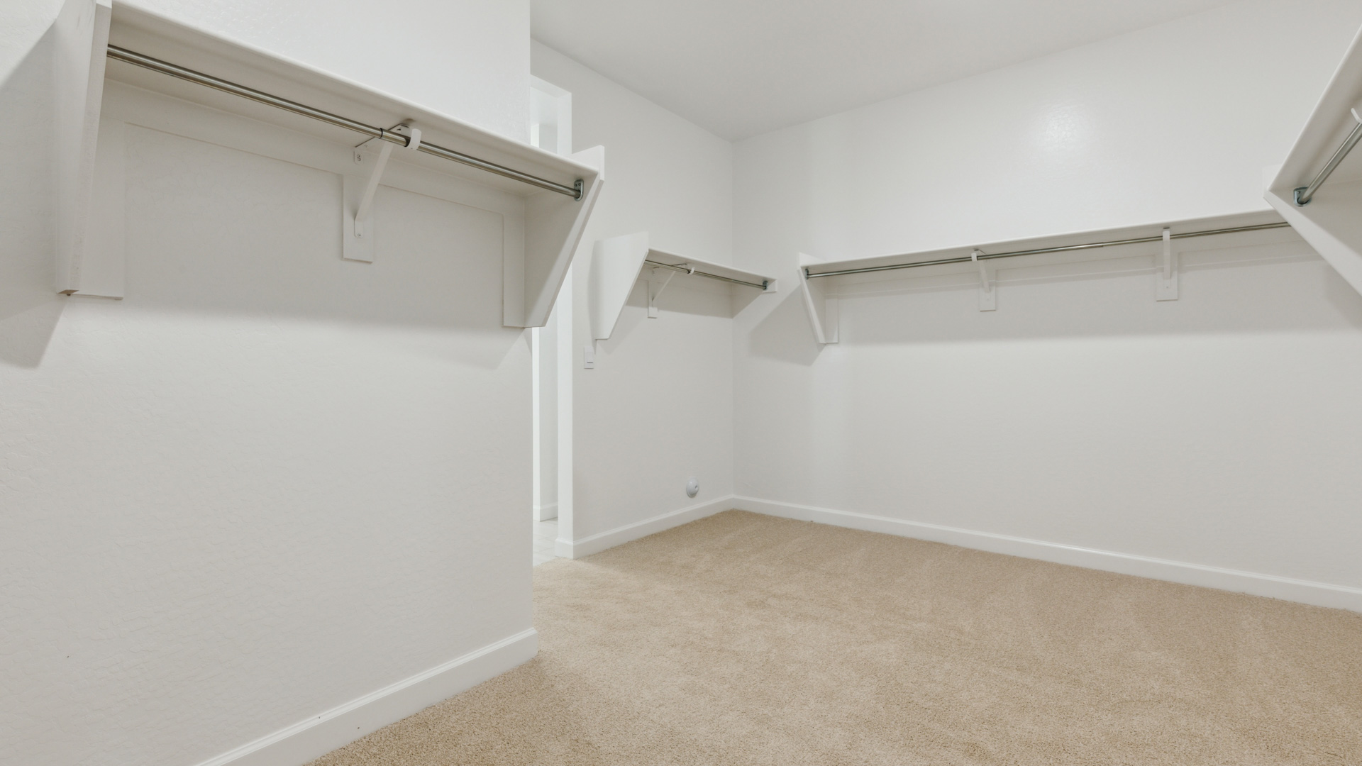 primary suite walk in closet