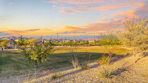 Desert Moon Estates Community Photos Buckeye AZ DRHorton