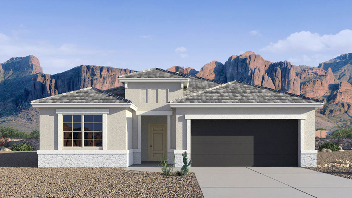 Newly built single-story home with modern architecture, a double garage, and landscaped front yard.