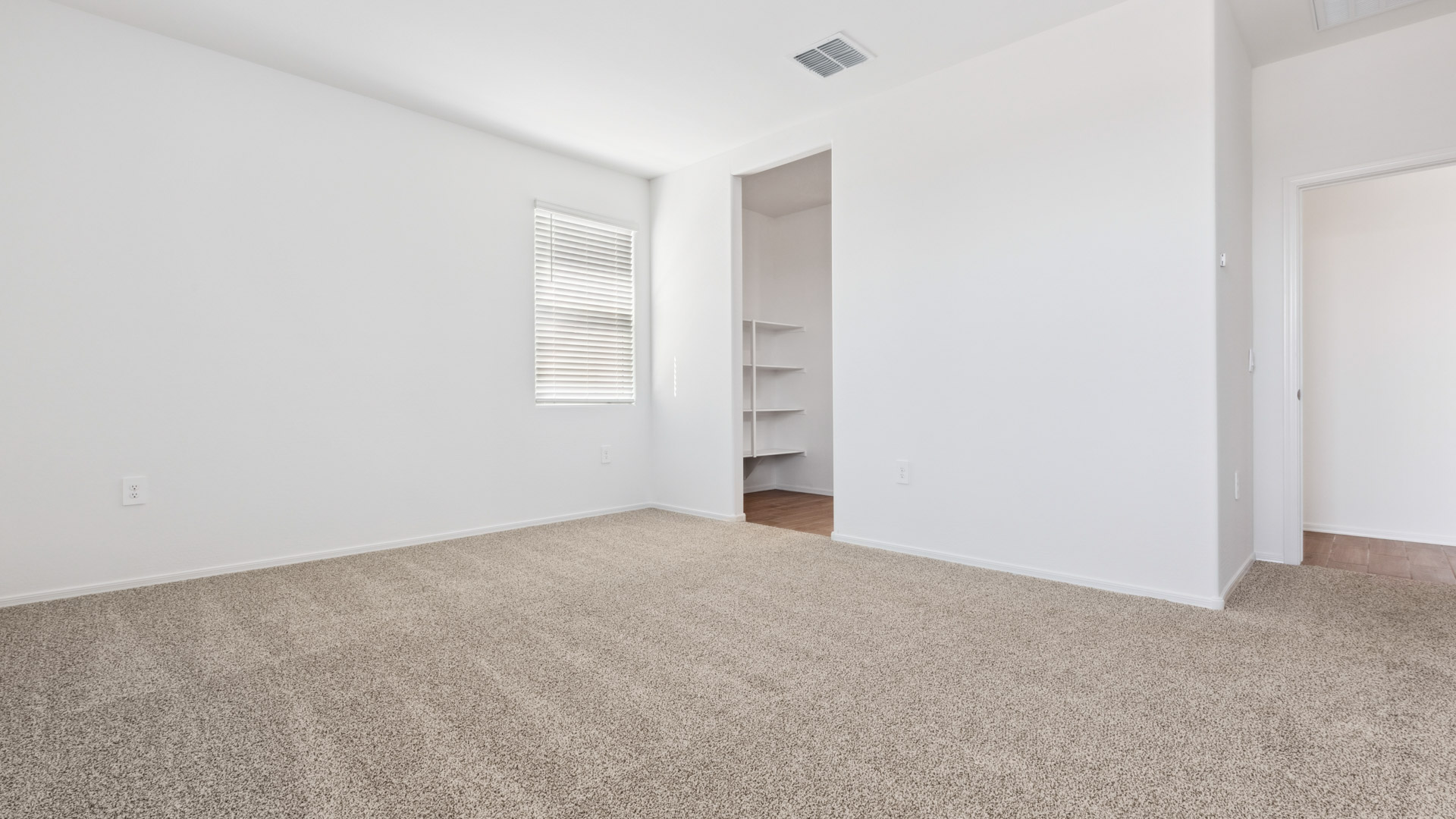 primary suite with walk in closet