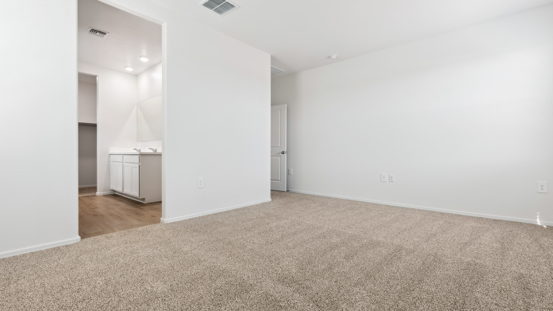 primary suite with walk in closet