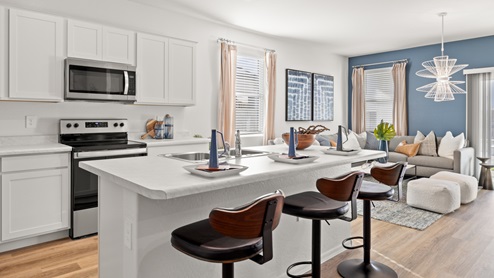 Kitchen and Living Room