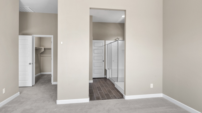 Primary bedroom with walk-in closet.