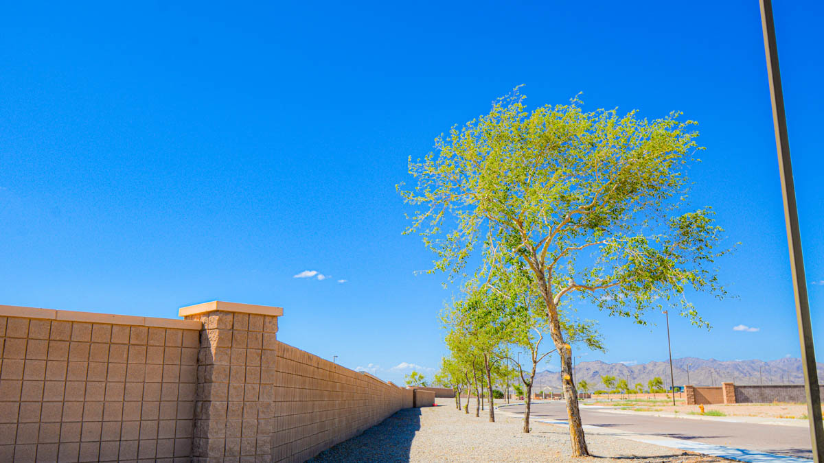 New Homes in Estrella Vista BUCKEYE, AZ D.R. Horton