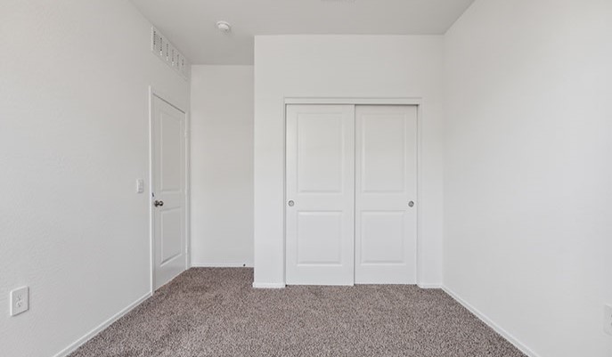 blackstone bedroom with closet