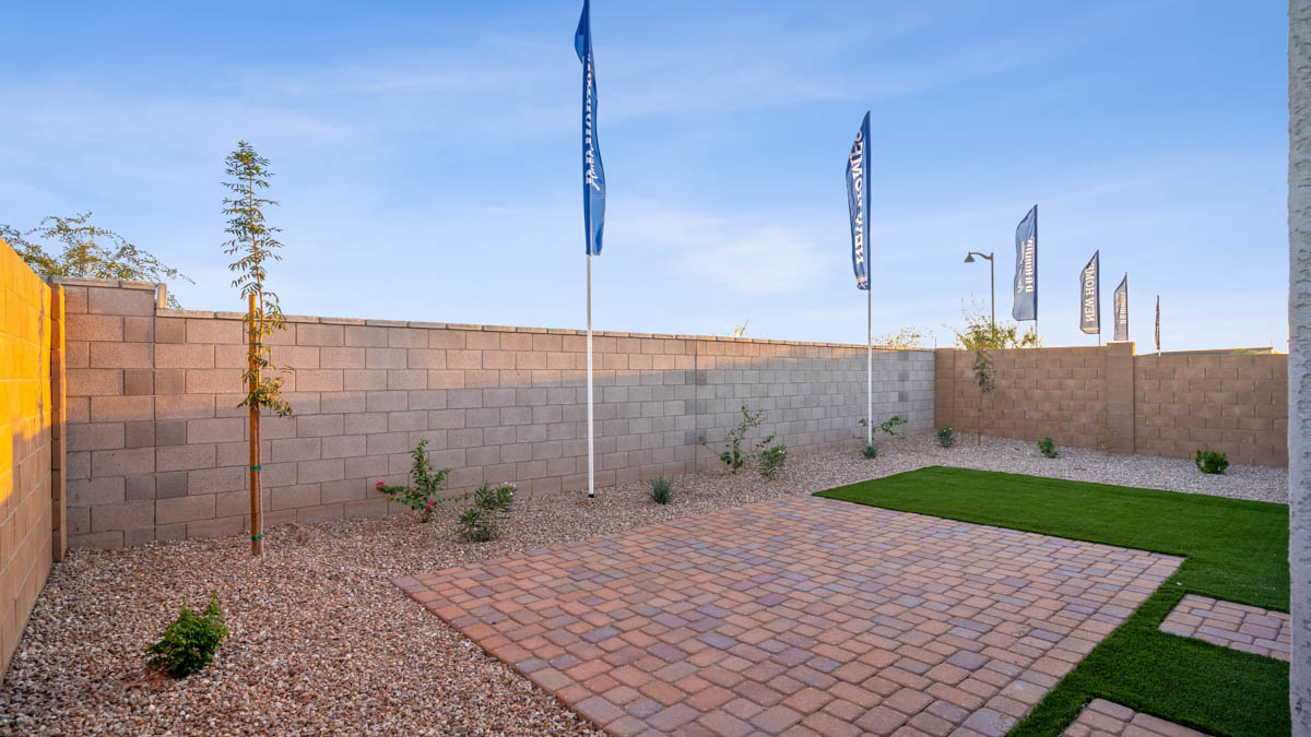 mockingbird backyard