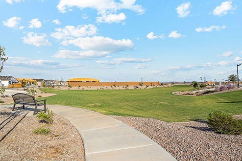 A walking path with grass.