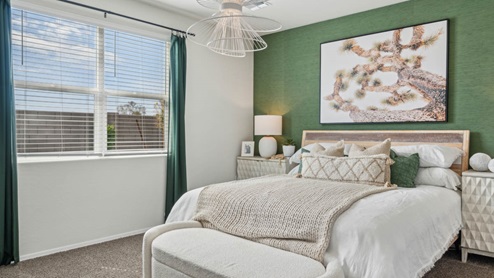 Primary bedroom with plush carpeting and a large walk-in closet.