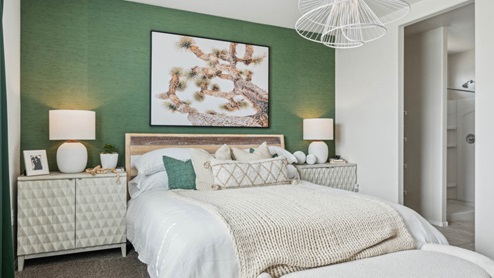 Primary bedroom with plush carpeting and a large walk-in closet.