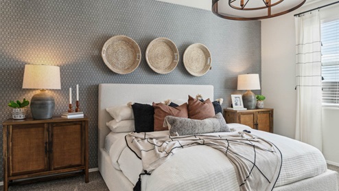 Primary bedroom with plush carpeting and a large walk-in closet.