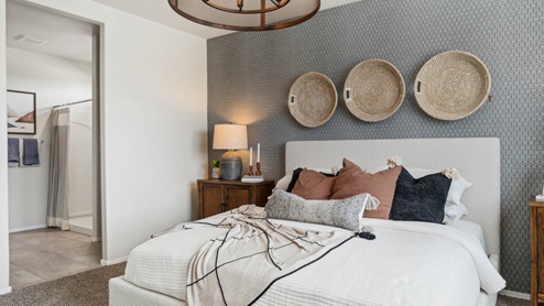 Primary bedroom with plush carpeting and a large walk-in closet.