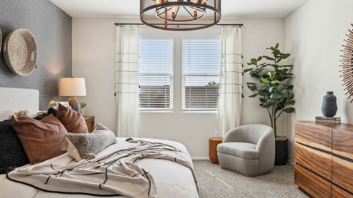 Primary bedroom with plush carpeting and a large walk-in closet.