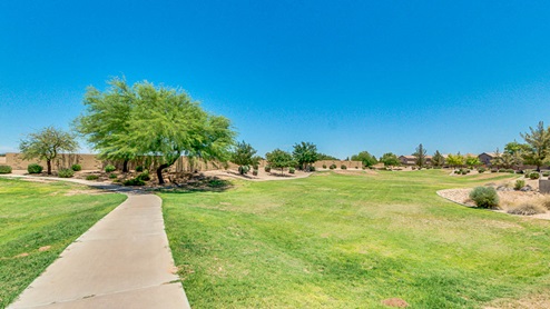 Community Park