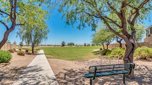 Community Park