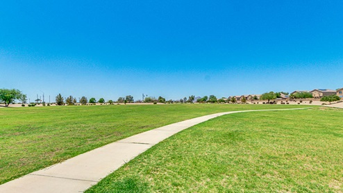 Community Park
