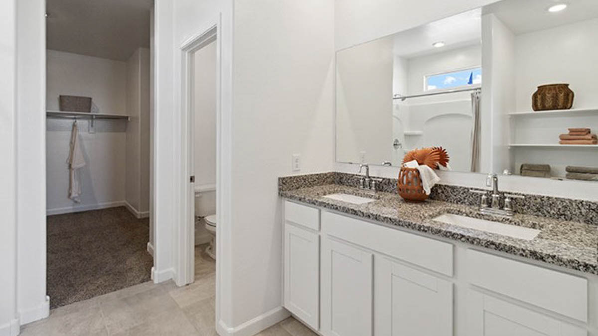 Owner’s ensuite view in our new build home offers function, style, a walk-in closet, spa-like ensuite