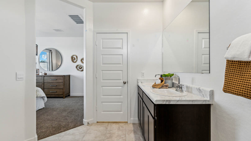 Primary Suite Bathroom